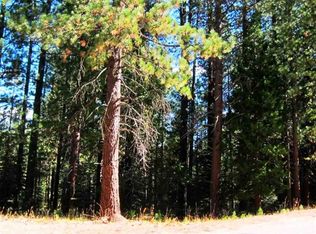 8 Sioux Trl, Graeagle, CA 96103
