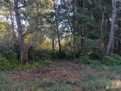 0 Lot22-23 T Place, Ocean Park, WA, 98640