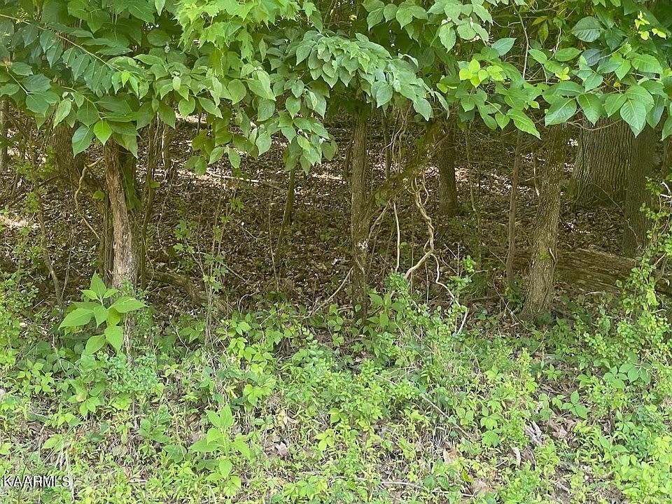 2nd image of 0 Shady Shores Ln Lot 28