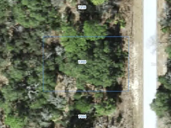 7204 N RIPLEY DRIVE LOT 25, CITRUS SPRINGS, FL 34433