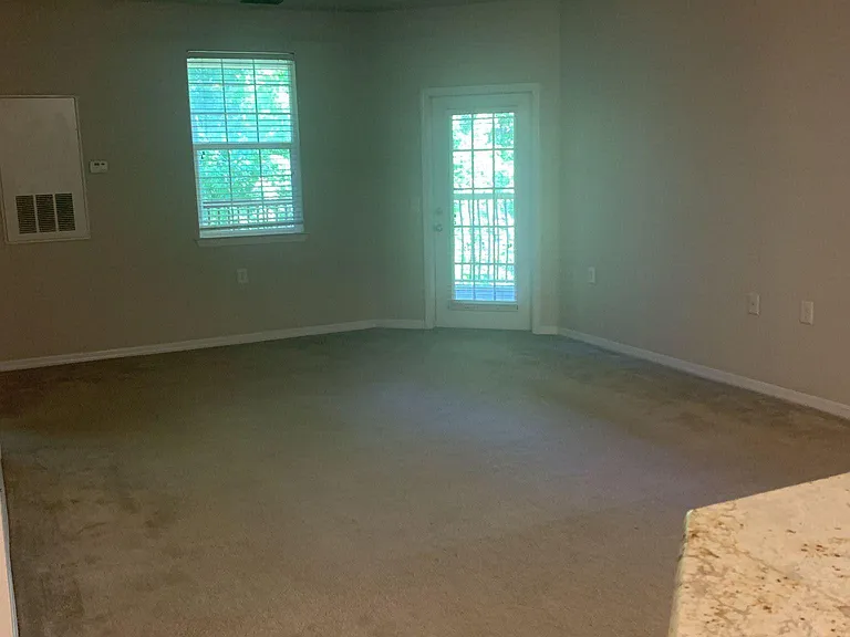 16501 Harper Pond Ln #306 — Photo 3