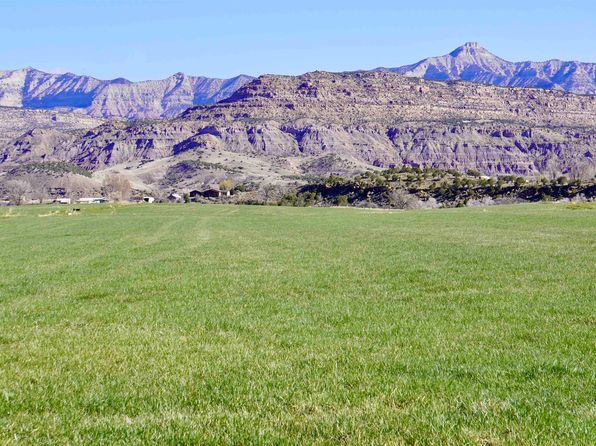 49594 Ke Rd, Mesa, CO 81643