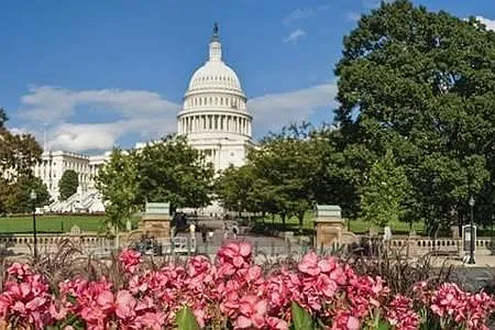 Pennsylvania Ave SE, Washington — Photo 4