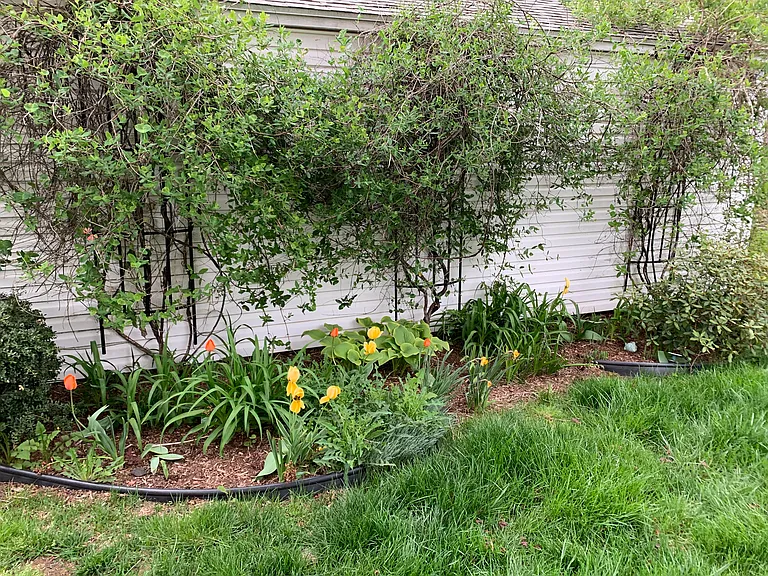 37 Spring Garden St — Photo 10
