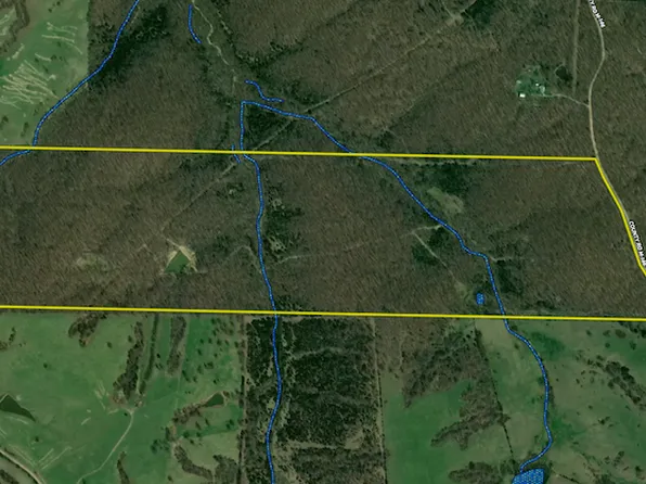 Handley Rd, Long Lane, MO 65590