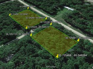 460 Breeze Ln, Livingston, TX 77351