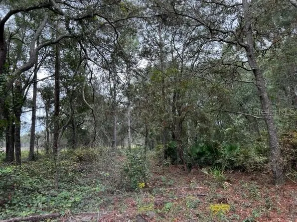 NW 11th Avenue 62nd Place Ave Lot 1, Bell, FL 32619