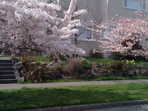 Spring!