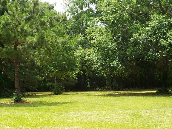 Beautiful mature trees in front pasture