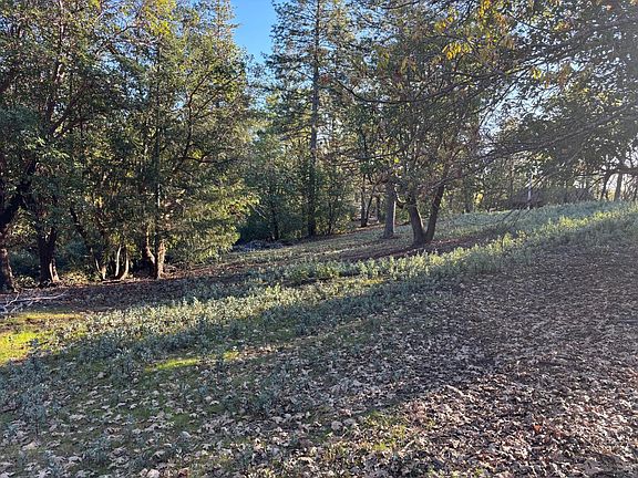 3rd image of 4110 Pine Mountain Rd