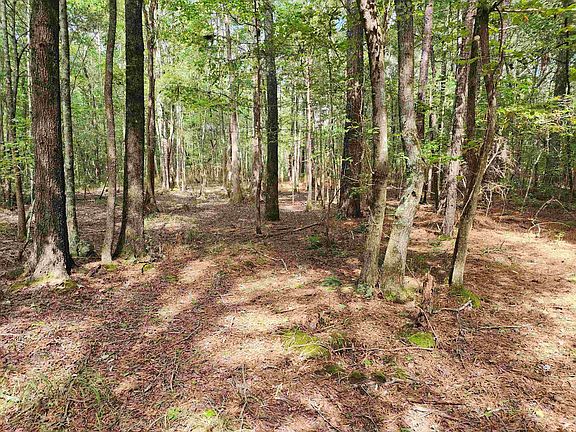 5th image of Highway 125 Lot 2