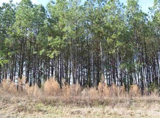 13508 Old Stage Rd, Willow Spring, NC 27592