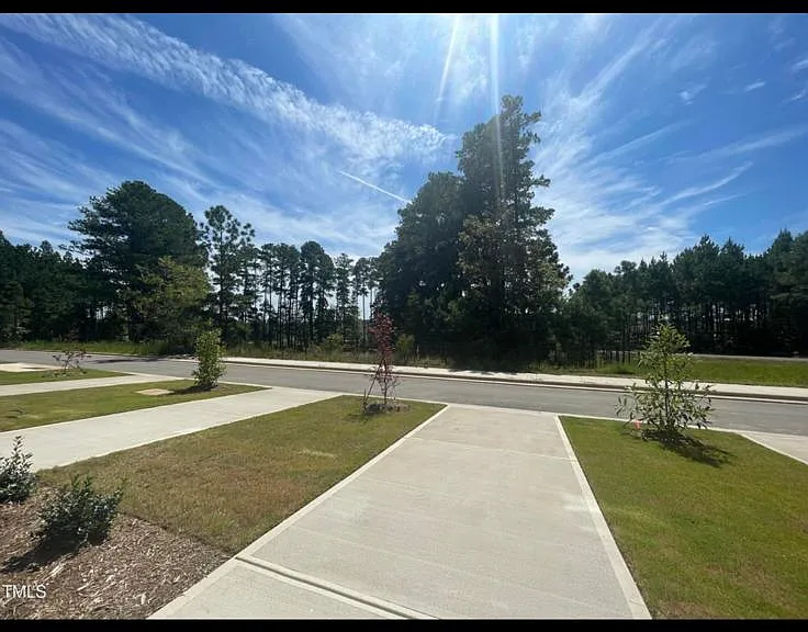 419 Carolina Springs Blvd — Photo 16