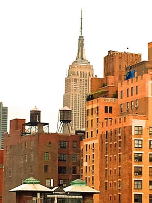 Rented by Carol Quatrone | media 32