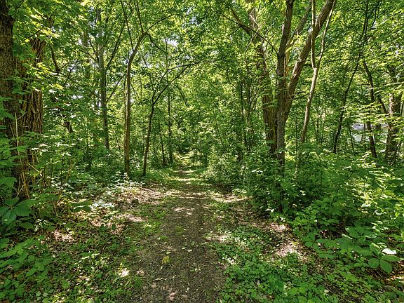 3rd image of 12659 Terrace Ln