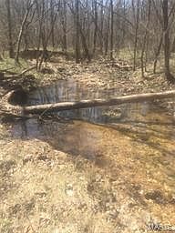 3rd image of 0 Blunt Rd