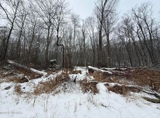 PARCEL 2 Renovo Rd, Renovo, PA 17764