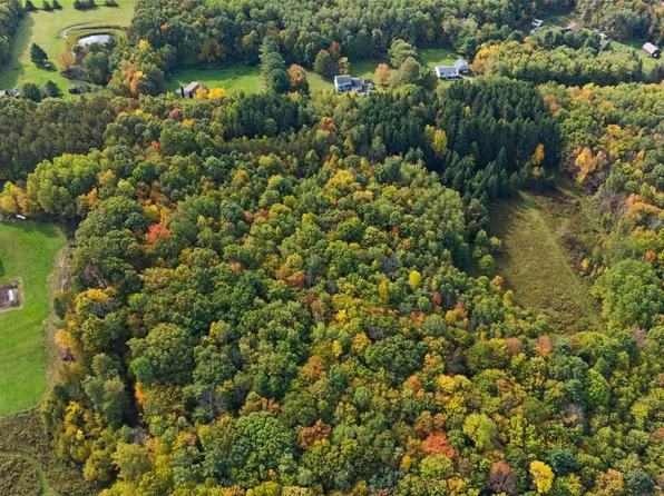 65 Hawkins Hill Rd, Pt Crane, NY 13833