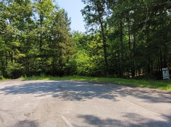 0 Wachter Blvd, Durham, NY 12423