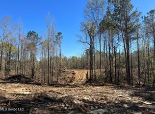 Levi Cooper Rd, Braxton, MS 39044
