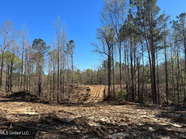 Levi Cooper Rd, Braxton, MS 39044