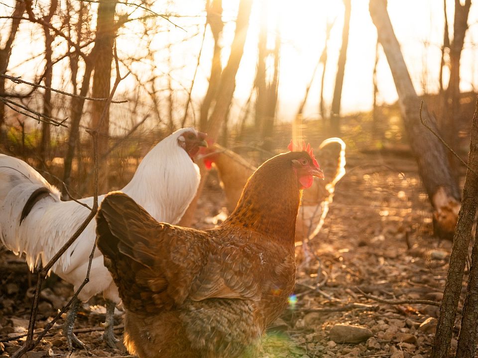 37th image of this home