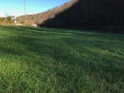1889 Stony Gap Rd, Sneedville, TN, 37869