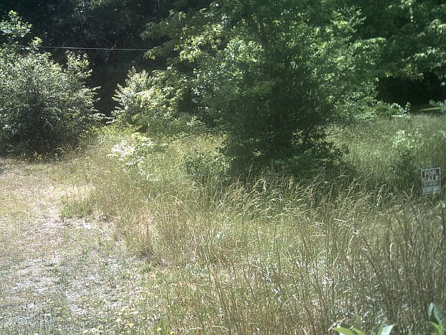 2nd image of 107 Academy St