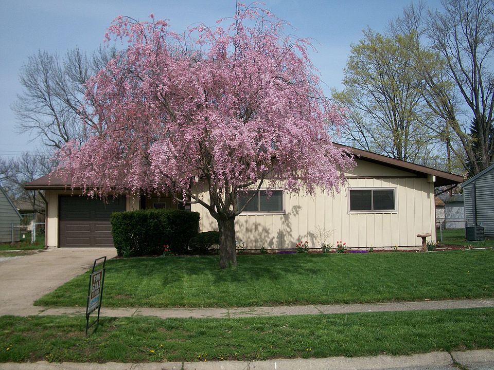 View from the street