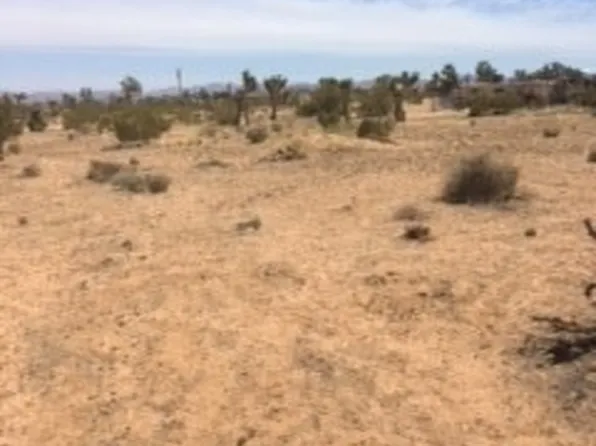 29 Palm Dr, Twentynine Palms, CA 92277