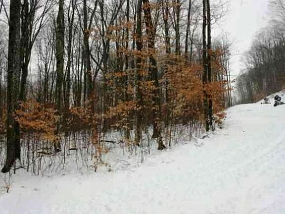 2nd image of N Schuss Mountain Dr #4