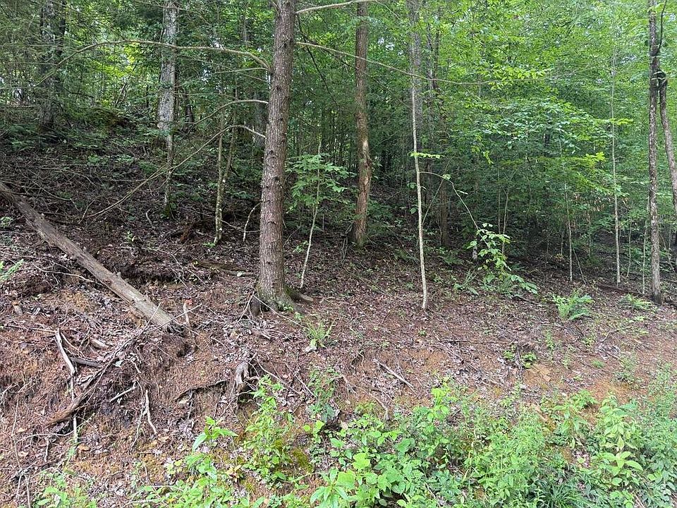 1st image of 35 Low Ridge Rd