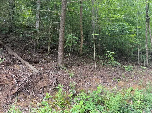 35 Low Ridge Rd, Campton, KY 41301