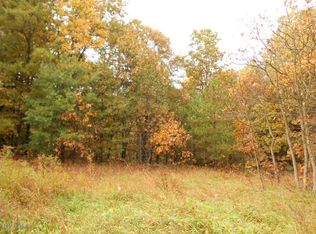 13965 Fun St SE, Lowell, MI 49331