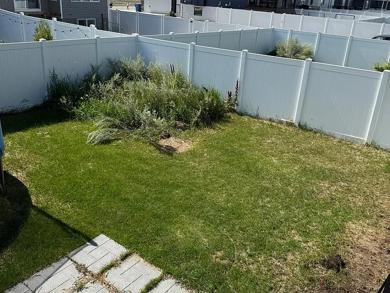 208 Barrett St — Photo 20