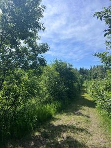 Main St E, Menahga, MN, 56464