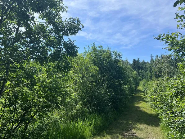Main St E, Menahga, MN 56464