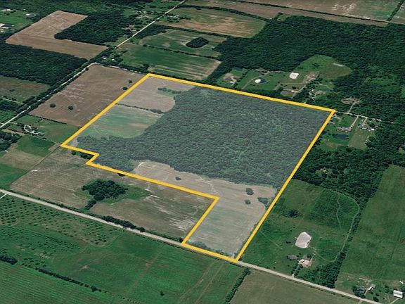 2nd image of Rose Rd