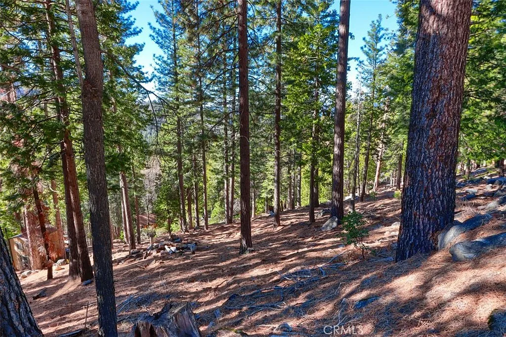 7349 Yosemite Park Way Lot 135 photo 1