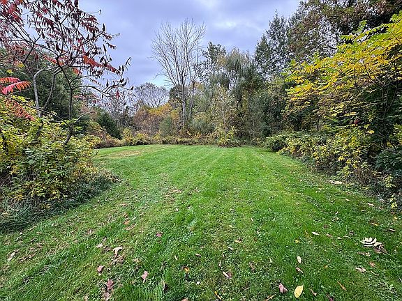 Expansive Backyard