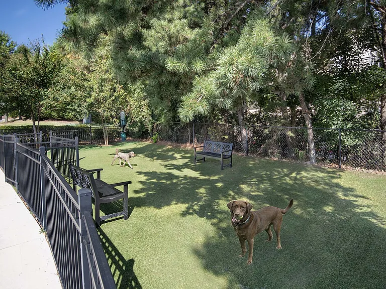 Reserve Decatur Apartments — Photo 44