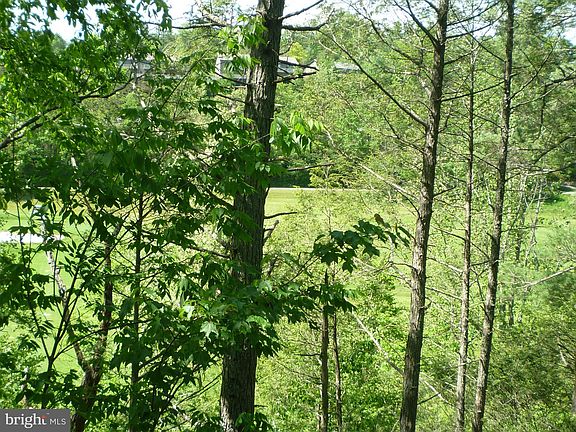 4th image of 63 Fairway Dr