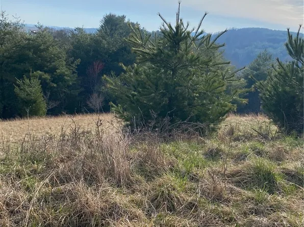 tbd Autumn Glen Drive, Sparta, NC 28675