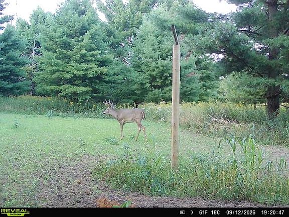 3rd image of LOT 3 340th Ave
