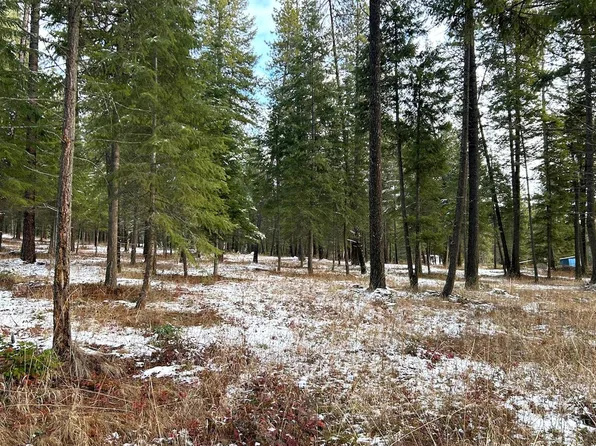 Nka Pleasants View Rd, Blanchard, ID 83804