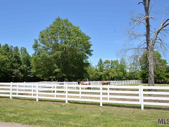 5th image of Quarter Horse Ln