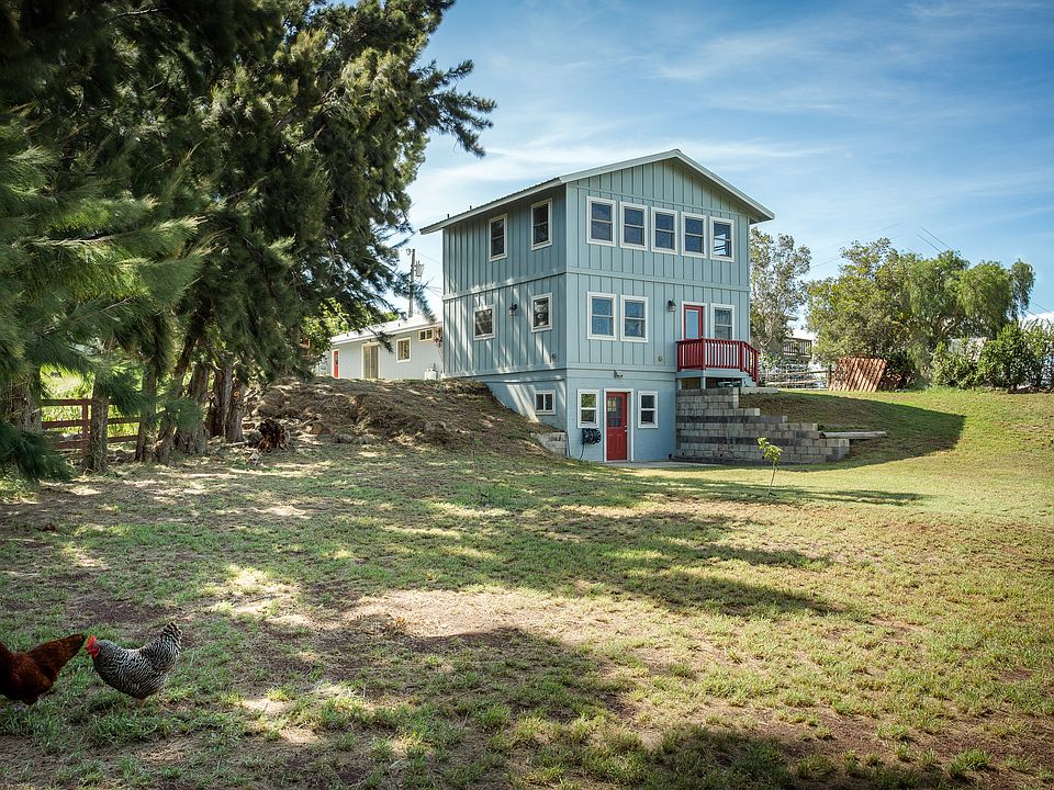 Spacious backyard on half an acre, planted with growing fruit trees. A small seasonal stream borders the backyard.