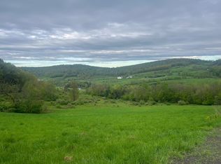 100 W Judd Rd, Windsor, NY 13865