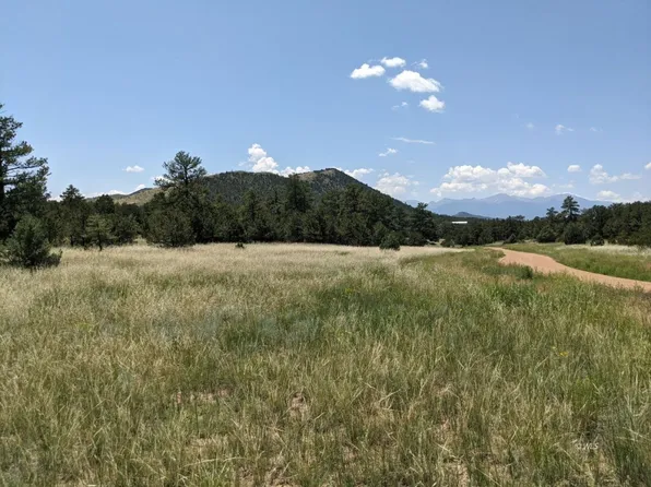 4995 Copper Gulch Rd, Cotopaxi, CO 81223