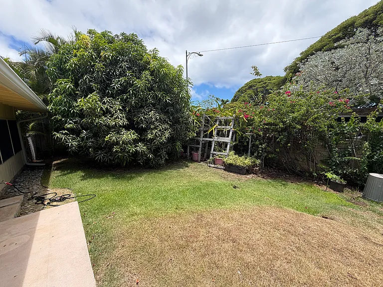 305 Halaki St — Photo 18
